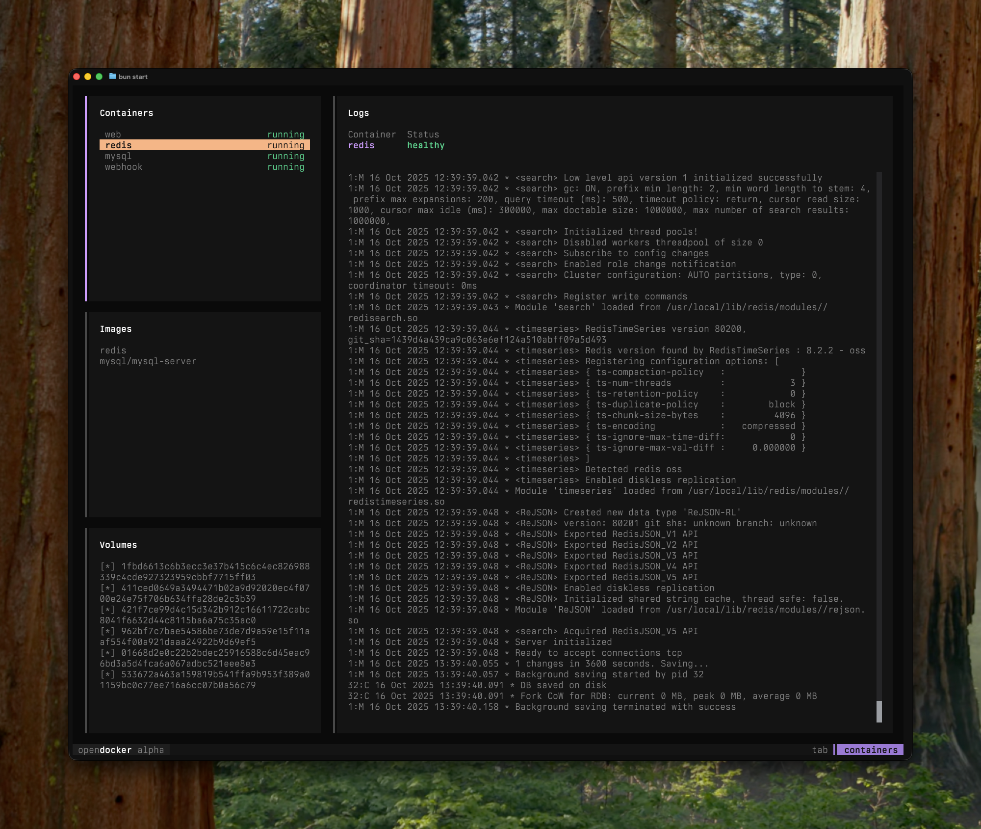 OpenDocker running in the terminal